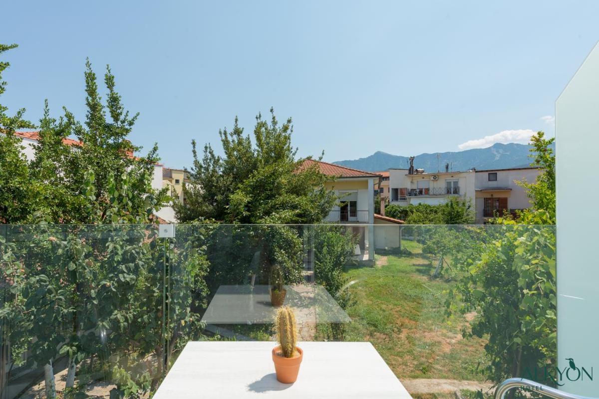 Alkyon Hotel Thasos Extérieur photo